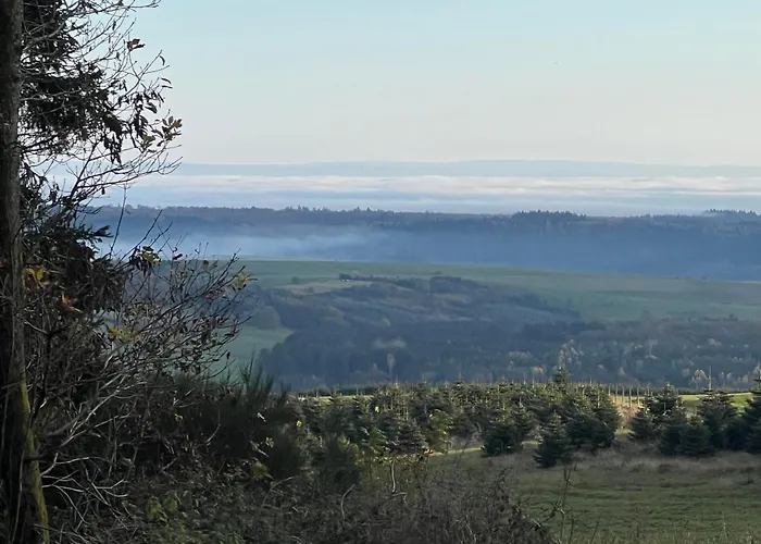 Wohlfuehlnest Im Ahornweg, Apartamento *